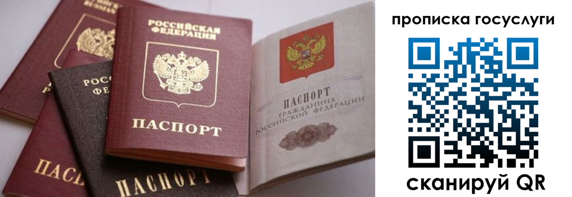 прописка иностранных граждан в Лесосибирске